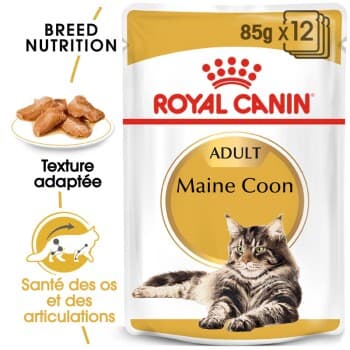 ROYAL CANIN Maine Coon Adult en sauce 12x85 g