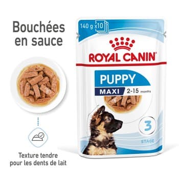 ROYAL CANIN Maxi Puppy 10x140 g