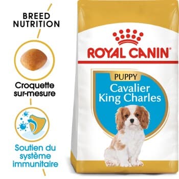 ROYAL CANIN Cavalier King Charles Chiot Croquettes Chien 1,5 kg