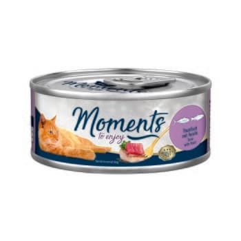 MOMENTS Adult Thon à la Truite 12x70 g