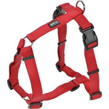 AniOne Harnais en nylon classique rouge XL