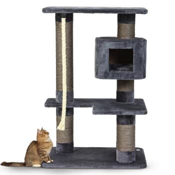 AniOne Arbre à chat XXL Candy gris