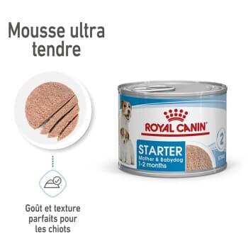 ROYAL CANIN Starter Mother & Babydog Mousse 12x195 g