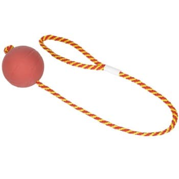 FIT+FUN Balle sur corde