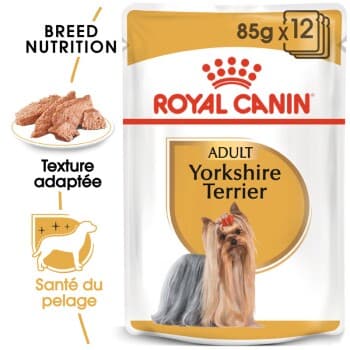ROYAL CANIN Yorkshire Terrier Adulte Mousse 12x85 g