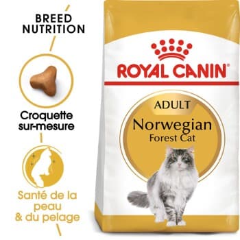 ROYAL CANIN Norvégien Adulte Croquettes Chat 10 kg