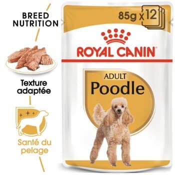 ROYAL CANIN Caniche Adulte en Sauce 12x85 g