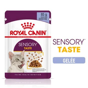 ROYAL CANIN SENSORY Taste Bouchée en Gelée pour Chats difficiles 12x85 g