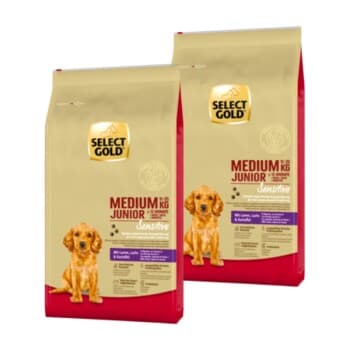 SELECT GOLD Sensitive Croquettes Chiot Medium Agneau au Saumon & aux Pommes de terre 2x12 kg