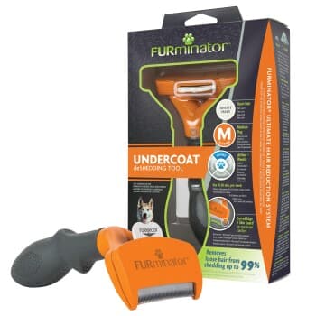 FURminator pour chien M Poils courts