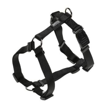 AniOne Harnais en nylon classique noir M