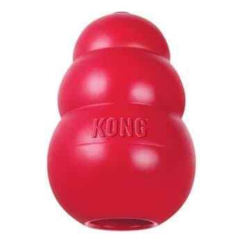 KONG Classic L