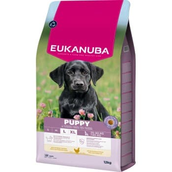 EUKANUBA Croquettes pour chiot de grande race au poulet 12 kg
