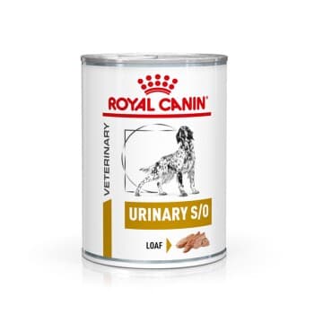 ROYAL CANIN Veterinary Urinary S/O Mousse 12 x 410 g