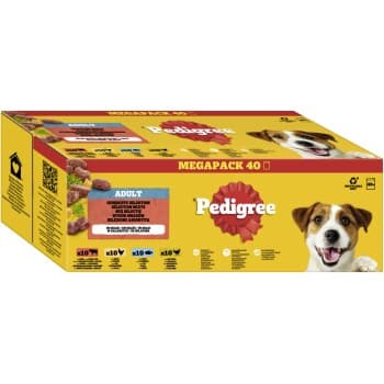 Pedigree Nourriture humide pour chien adulte, multipack, sélection mixte, en gelée 40x100 g