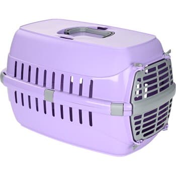 FIT+FUN Caisse de transport 50 x 32 x 31 cm violet