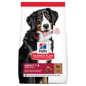 Hill's Science Plan Adult grand chien à l'agneau et riz 12 kg