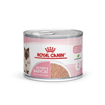ROYAL CANIN Mother & Babycat Mousse 12x195 g