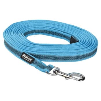 AniOne ANIO Laisse bleu/turquoise 15 m
