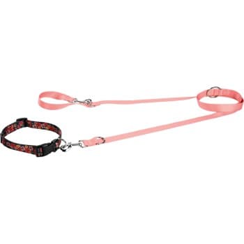FIT+FUN Kit collier + laisse saumon L