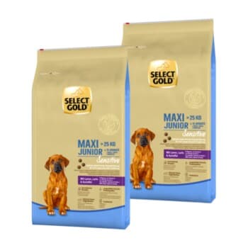 SELECT GOLD Sensitive Croquettes Chiot Maxi Agneau au Saumon & aux Pommes de terre 2x12 kg