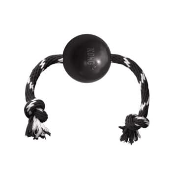 KONG Extreme Ball AniOne avec corde