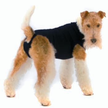 Trovet Body pour chien Recovery Suit noir M