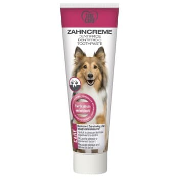 TAKE CARE Dentifrice 100 ml