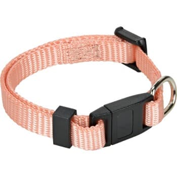 AniOne Collier pour chat Junior abricot