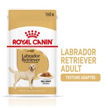 ROYAL CANIN Labrador Retriever Adult 10x140 g
